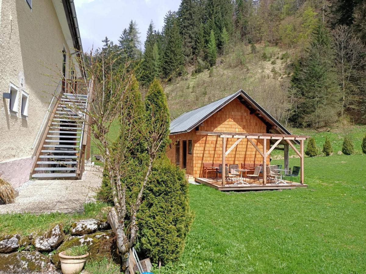 Appartements Bergheim Hirschbuhel ภายนอก รูปภาพ